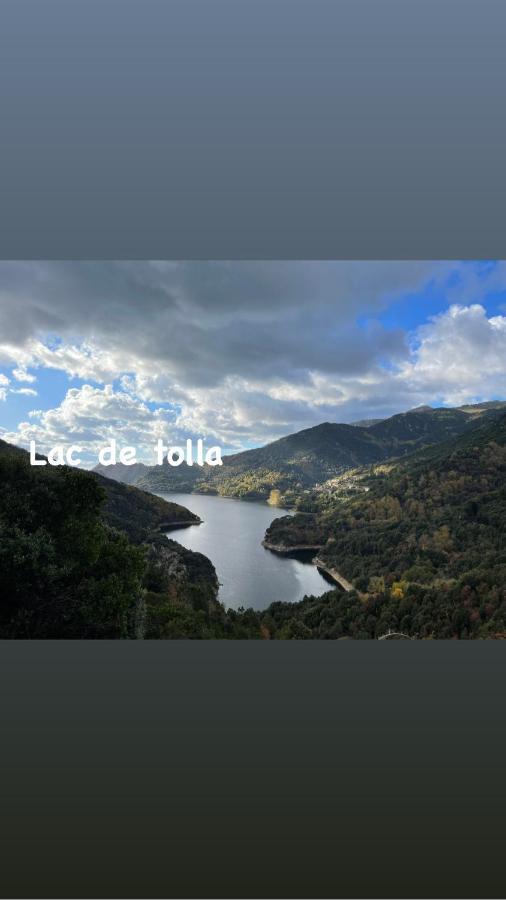 Magnifique Villa Recente Entre Mer Et Montagne Situee Entre Ajaccio Et Porticcio Cauro ภายนอก รูปภาพ